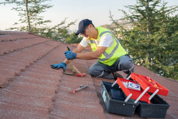 Best Roof Leak Repair  in Preston, IA
