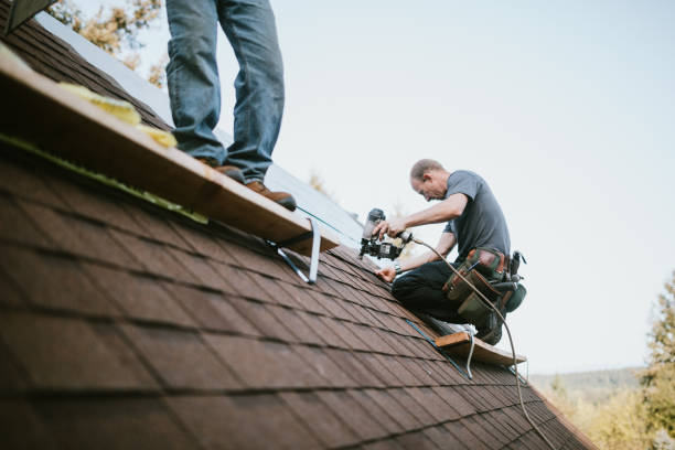 Best Roof Gutter Cleaning  in Preston, IA